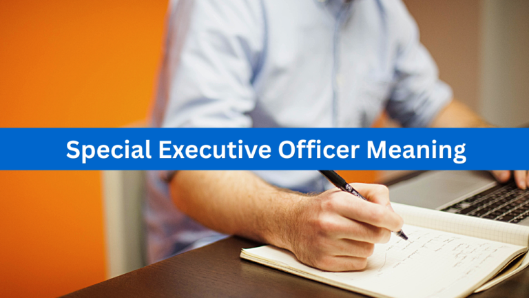 Special Executive Officer Meaning