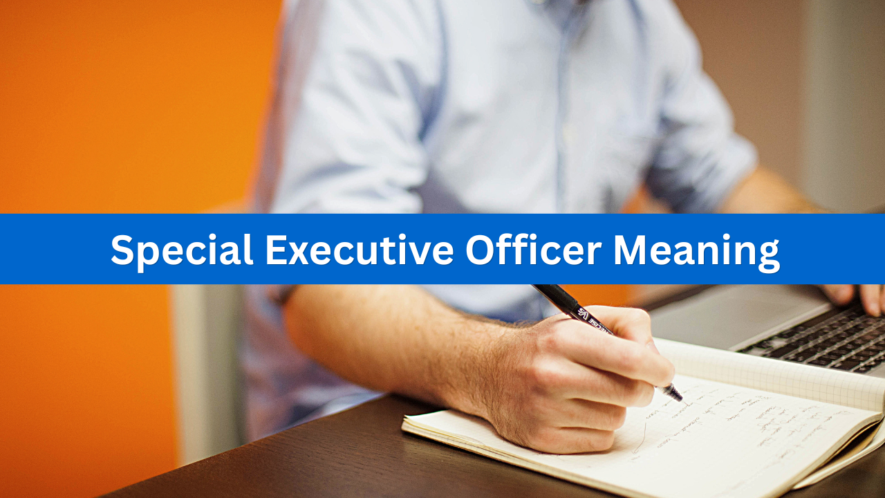 Special Executive Officer: Meaning, Powers, Eligibility, and Functions