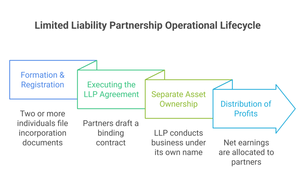 Limited Liability Partnership Work