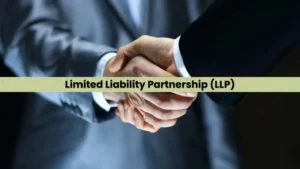 Limited Liability Partnership (LLP)
